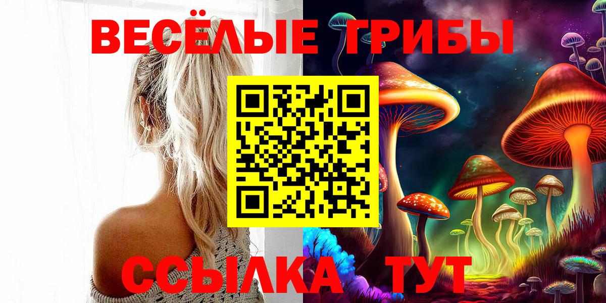 Галлюциногенные грибы Psilocybe  Вход с VPN  Касимов 